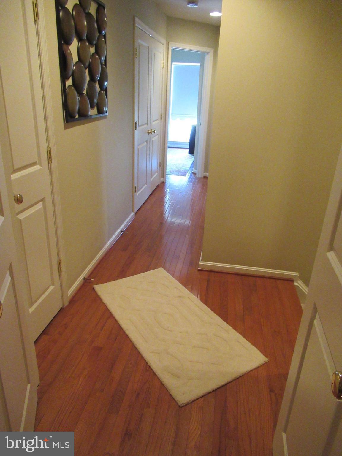 9105 Ribbon Falls Loop Bristow, VA 20136 - Photo 12 of 28 Interior (General)