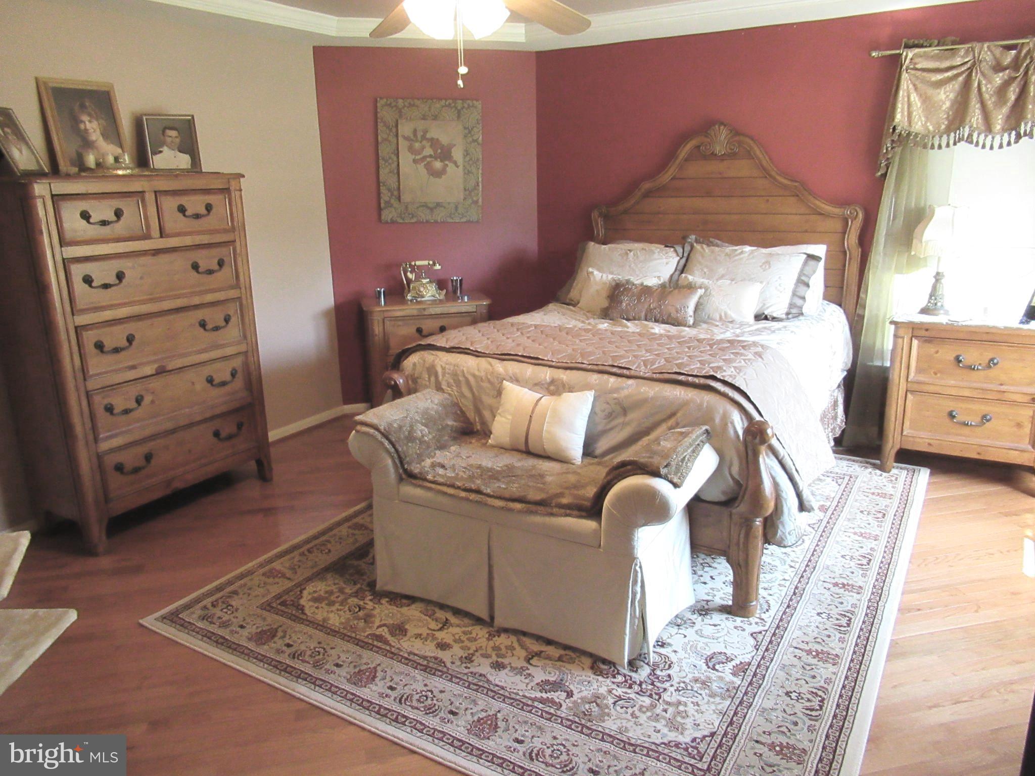 9105 Ribbon Falls Loop Bristow, VA 20136 - Photo 17 of 28 Bedroom (Master)