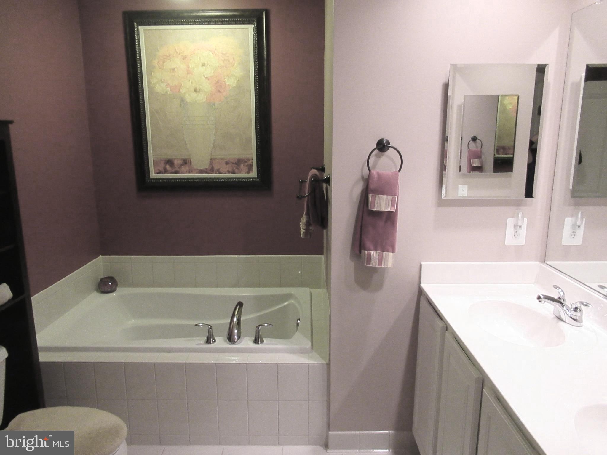9105 Ribbon Falls Loop Bristow, VA 20136 - Photo 19 of 28 View