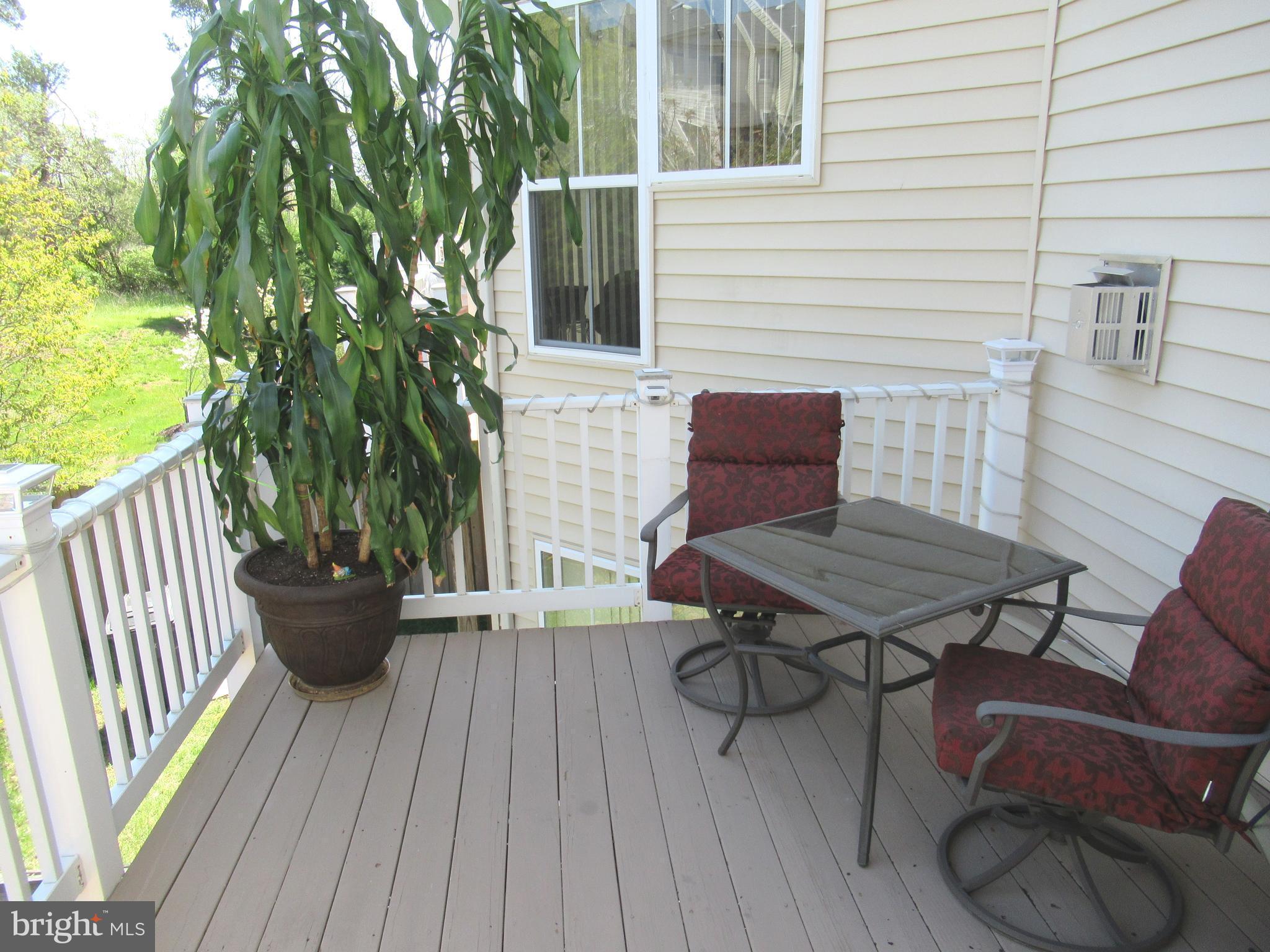 9105 Ribbon Falls Loop Bristow, VA 20136 - Photo 20 of 28 Exterior (Rear)