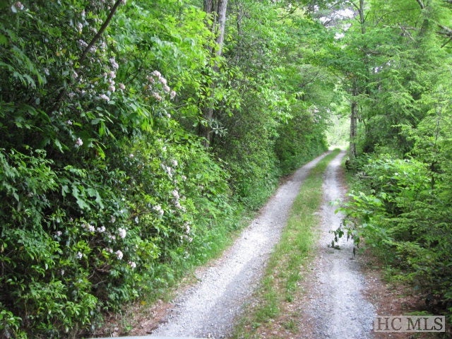 3 Myrtle Speed Road Highlands, NC 28741 - Photo 1 of 1 Gallery Image 1