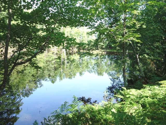 9880 Baker Lake Road Minocqua, WI 54548 - Photo 20 of 20 Gallery Image 20
