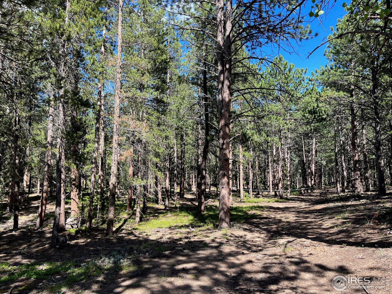 a view of outdoor space with trees