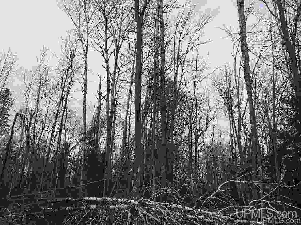40-acres Off Cadeau Road Baraga, MI 49908 - Photo 5 of 19