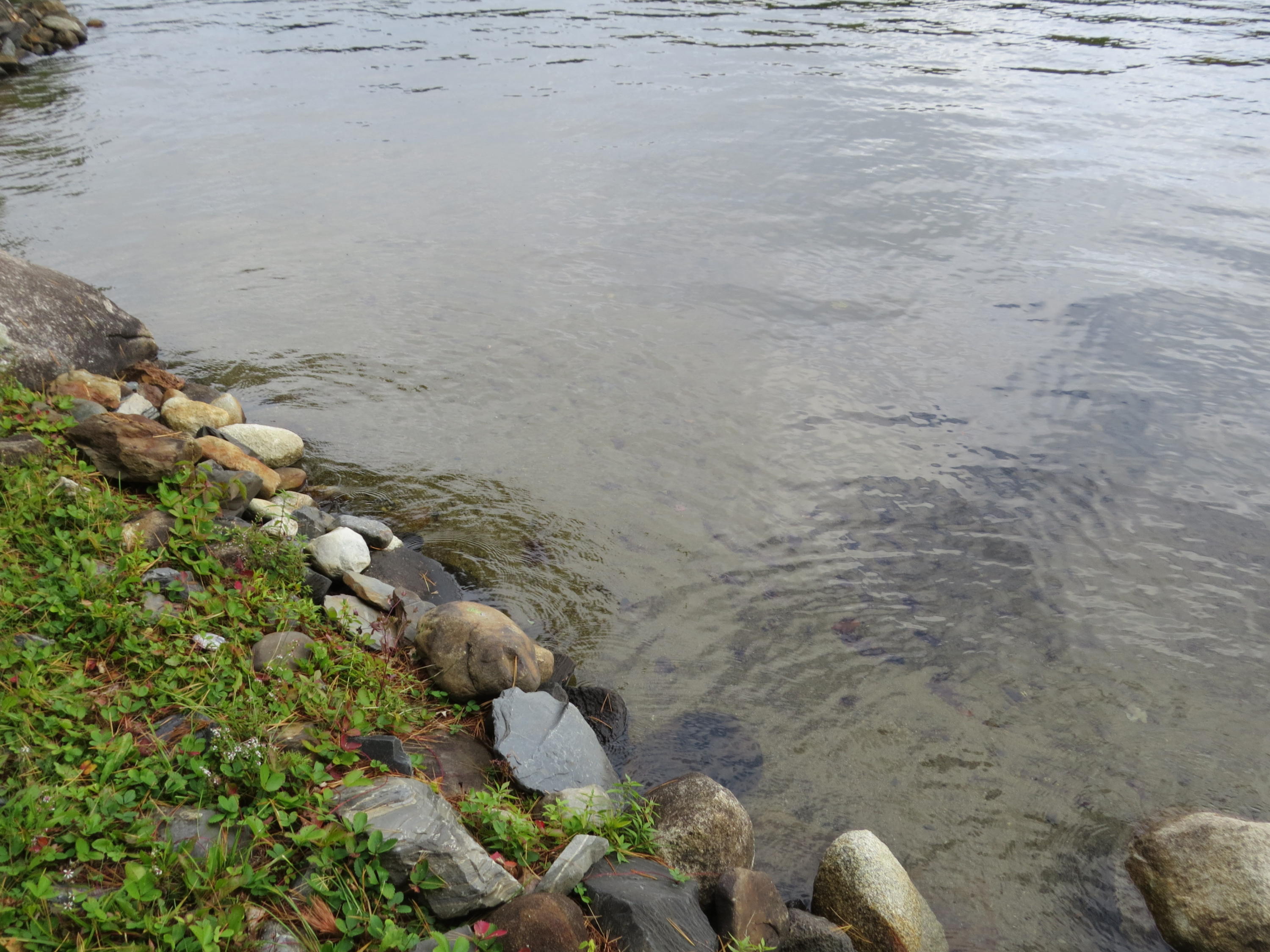 226 Willey Point Road Oakland, ME 04963 - Photo 17 of 62 Sandy bottom.