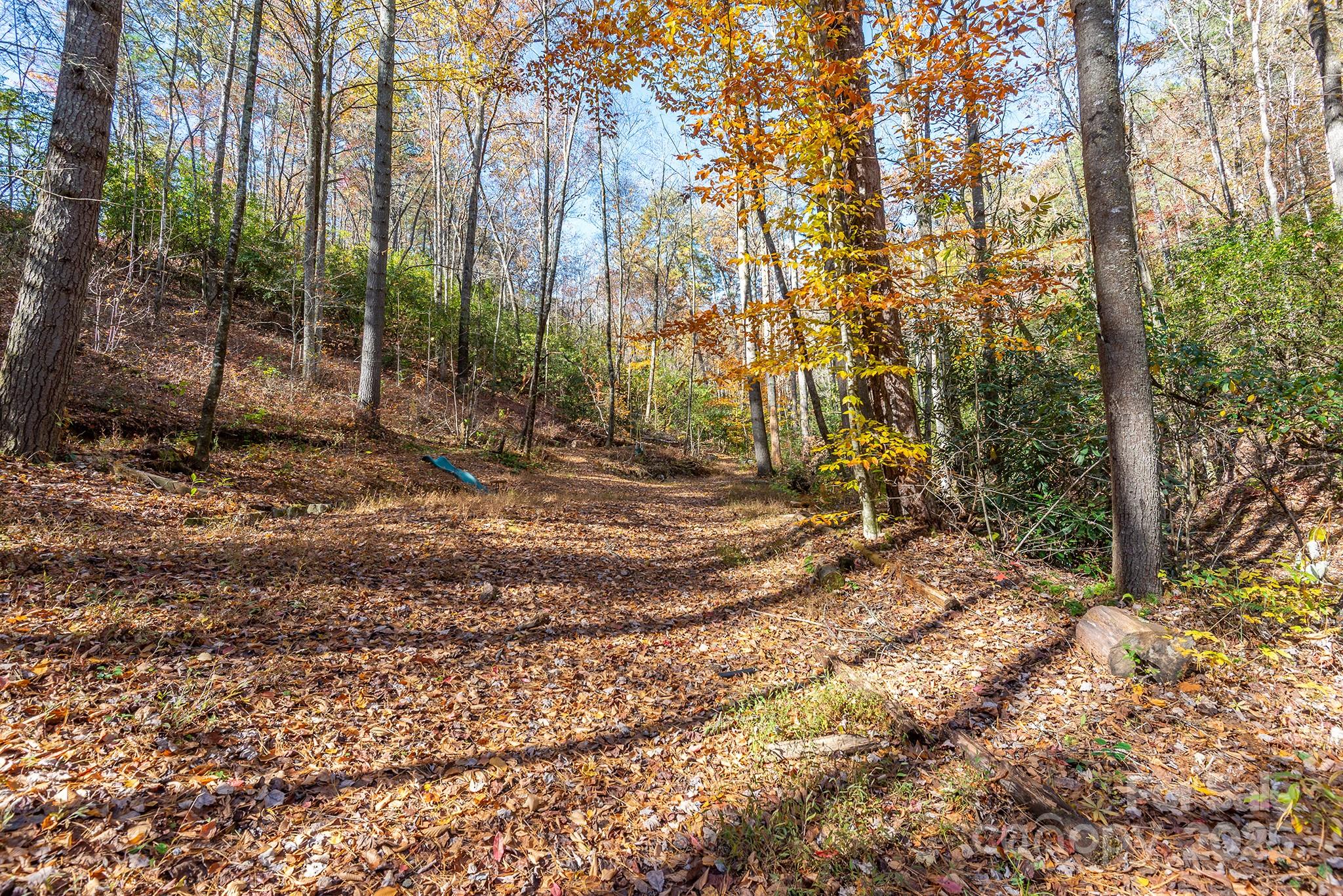 914 Catheys Creek Church Road Brevard, NC 28712 - Photo 11 of 33 a view of backyard space