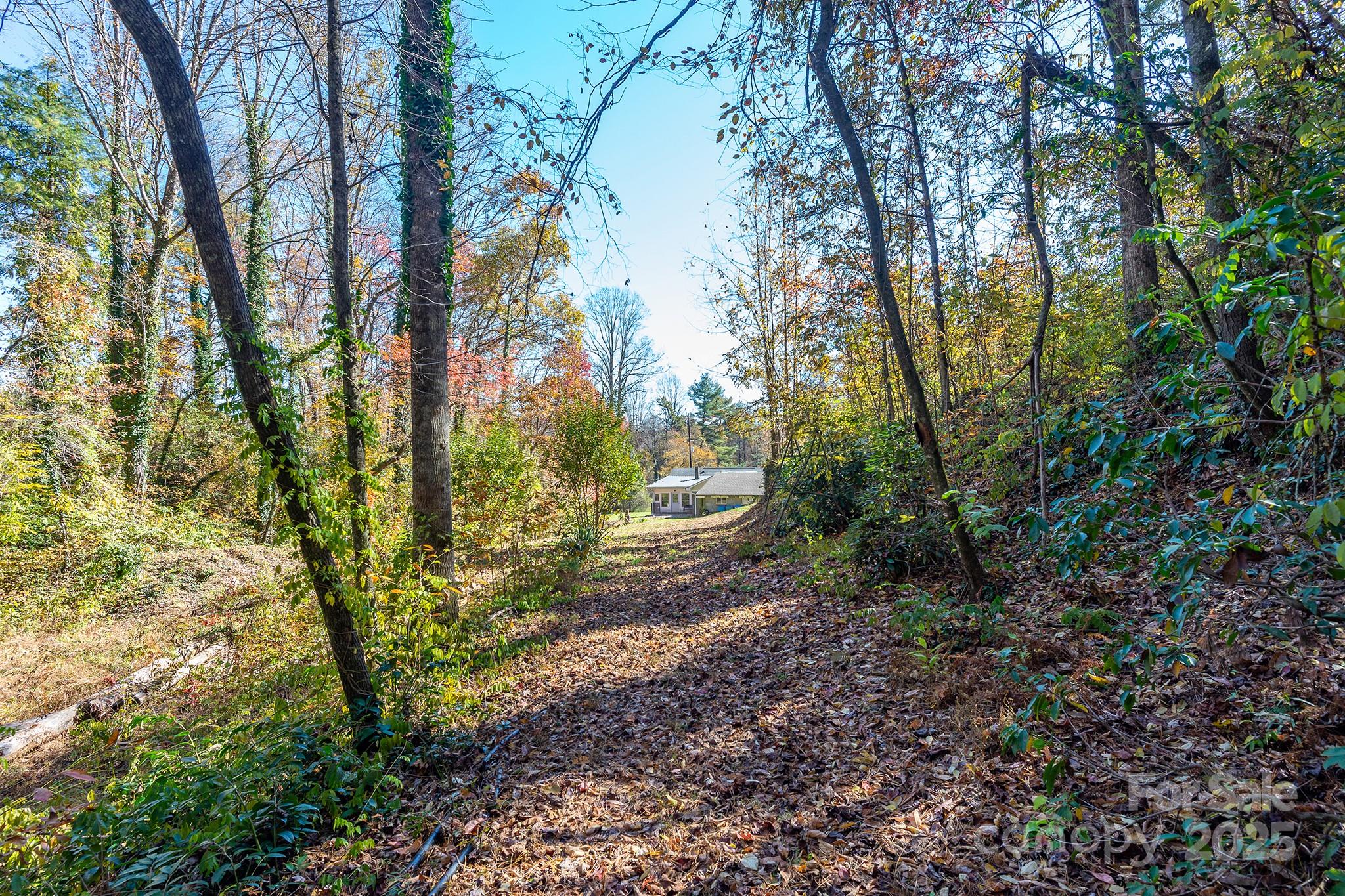 914 Catheys Creek Church Road Brevard, NC 28712 - Photo 12 of 33 a view of a yard with large trees