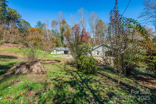 a view of a garden with trees
