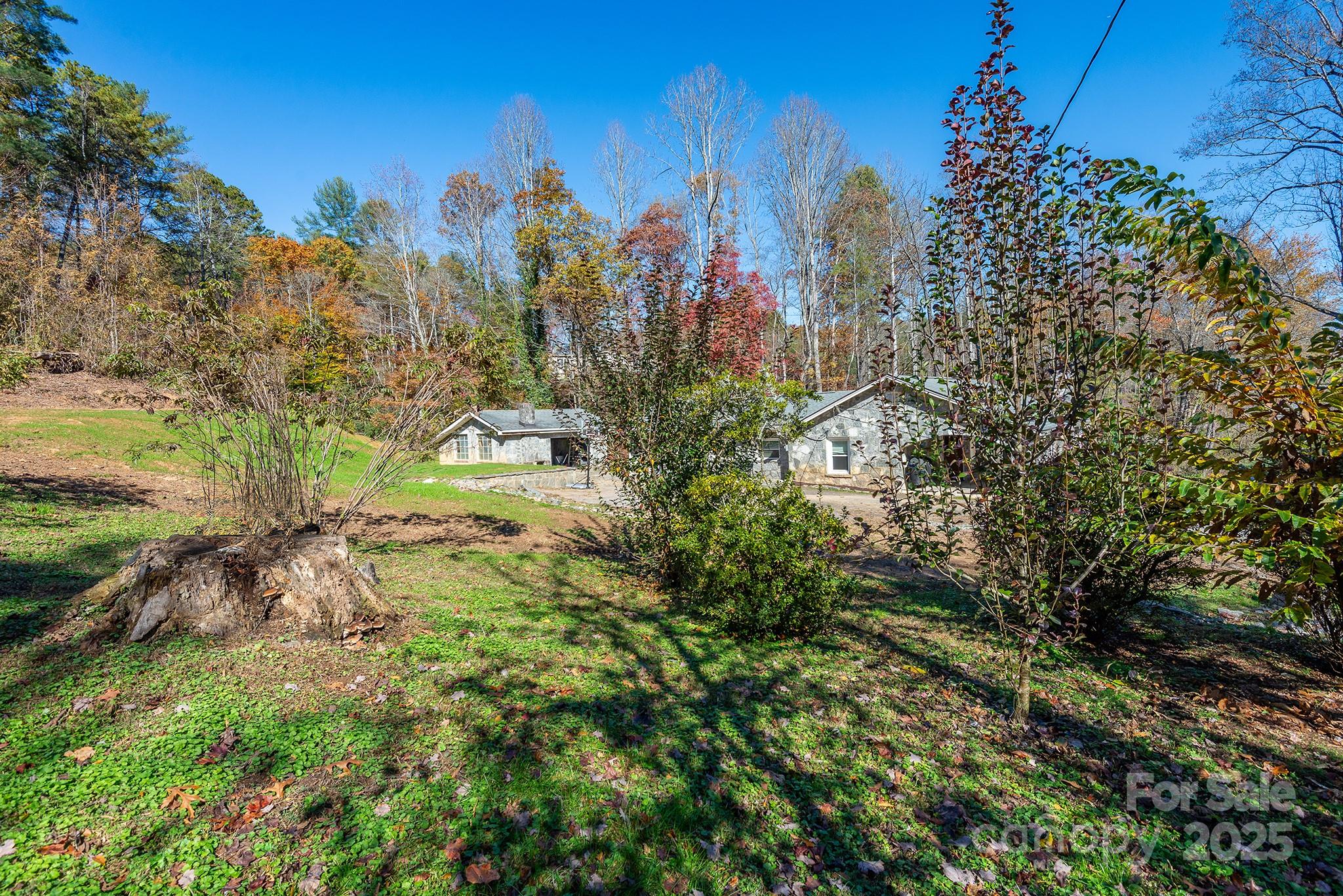 914 Catheys Creek Church Road Brevard, NC 28712 - Photo 30 of 33 a view of a garden with trees
