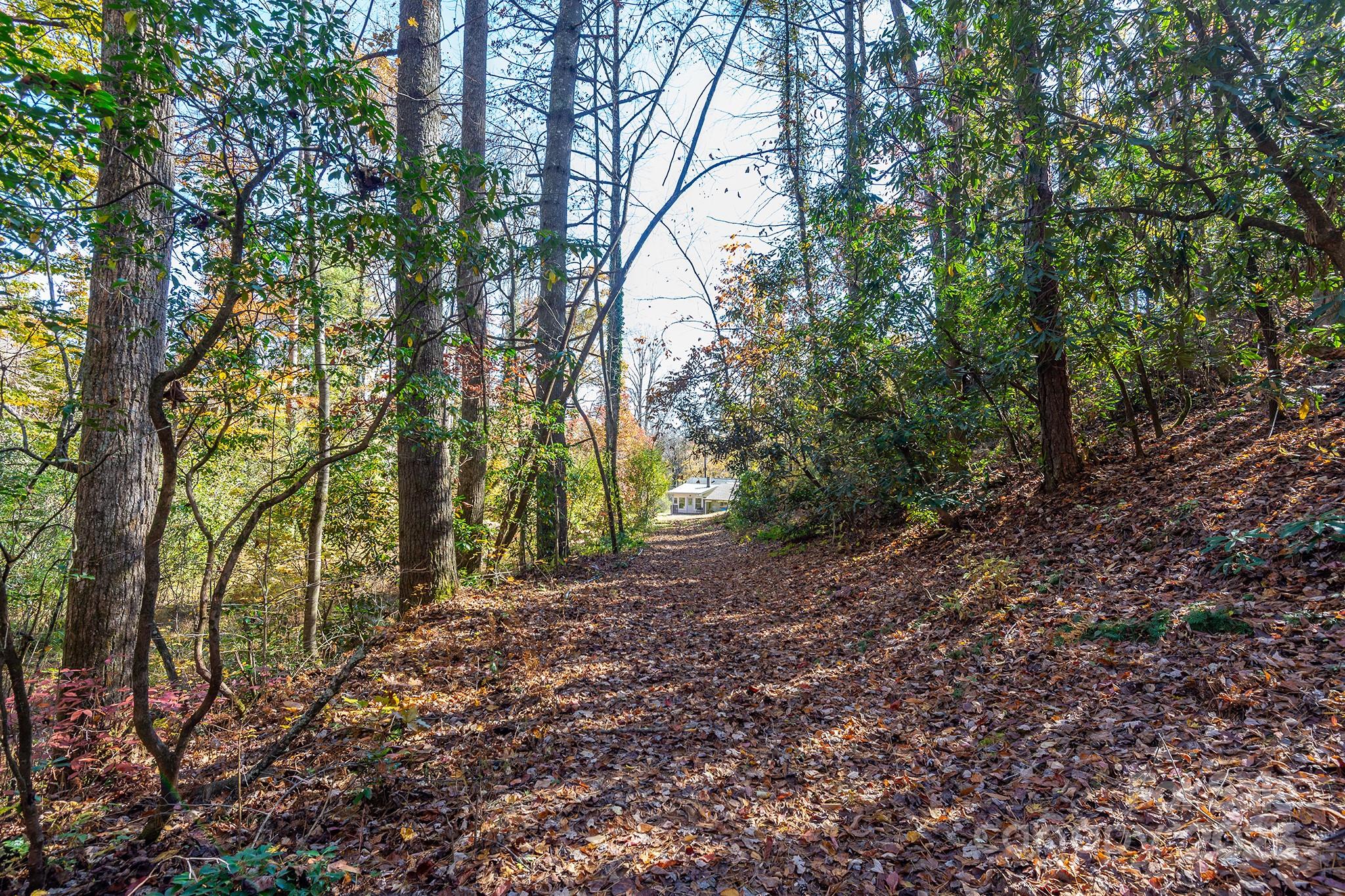 914 Catheys Creek Church Road Brevard, NC 28712 - Photo 32 of 33 a view of backyard with green space
