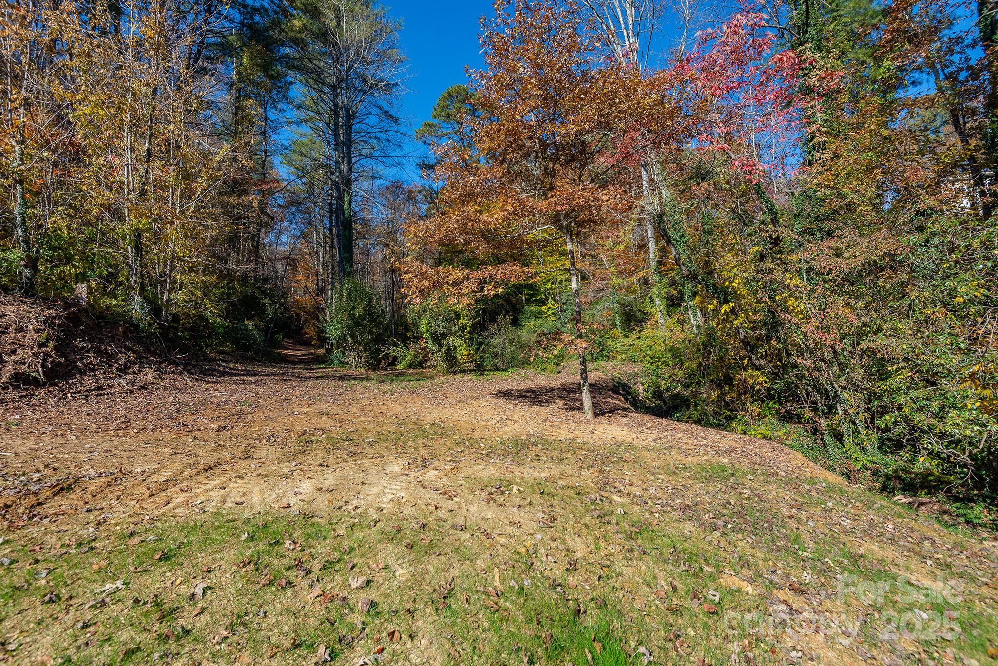 914 Catheys Creek Church Road Brevard, NC 28712 - Photo 8 of 33 a view of backyard with green space
