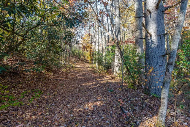 a view of outdoor space and trees