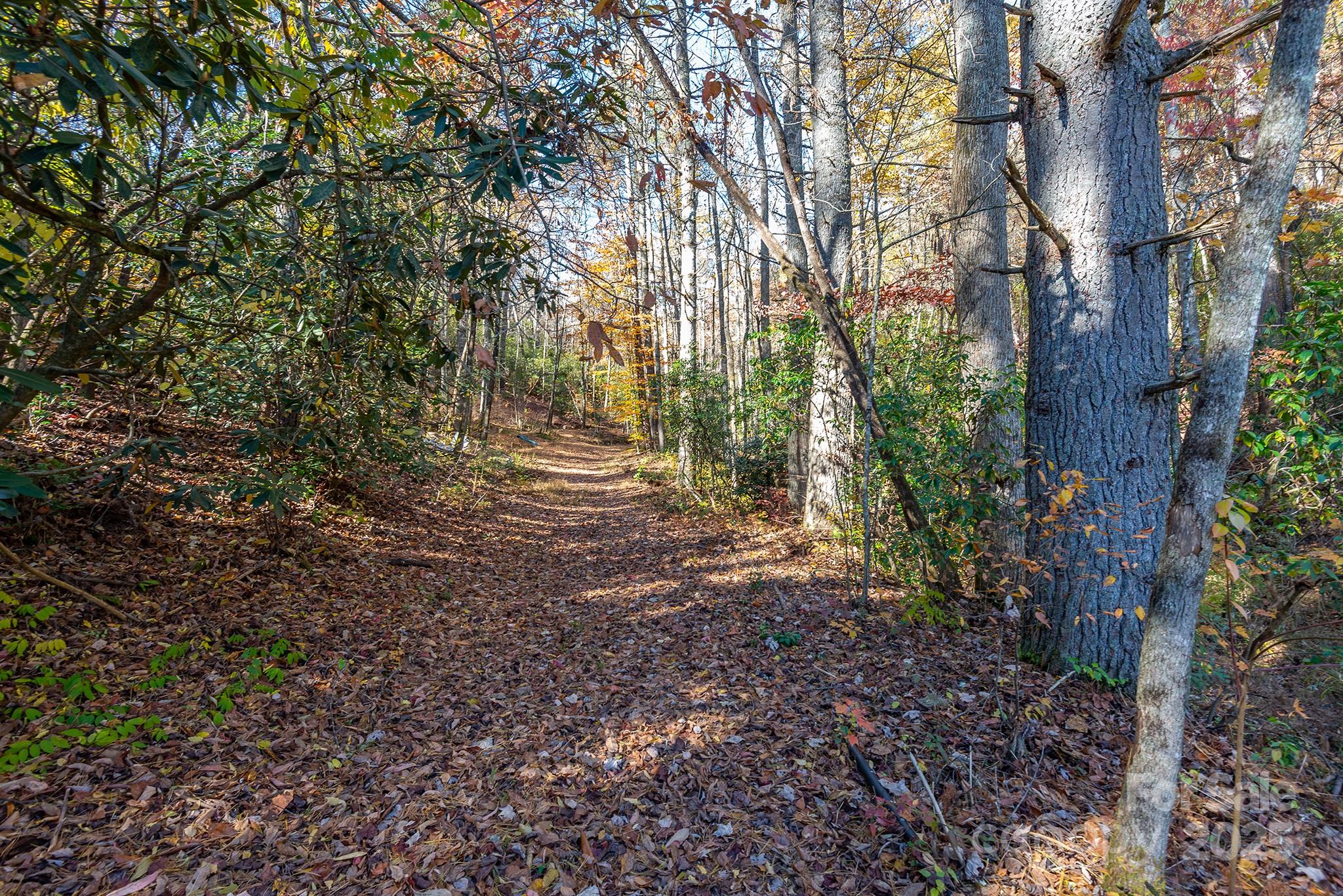 914 Catheys Creek Church Road Brevard, NC 28712 - Photo 10 of 33 a view of outdoor space and trees
