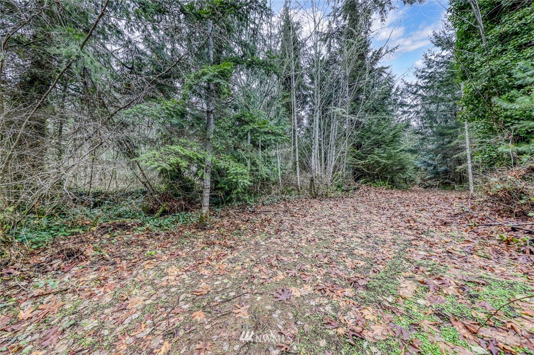 0 Stranne Road Northeast Bainbridge Island, WA 98110 - Photo 11 of 11 Gallery Image 11