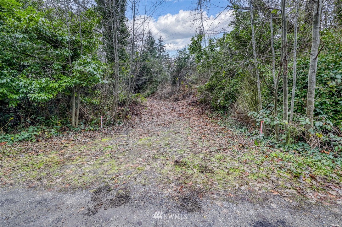 0 Stranne Road Northeast Bainbridge Island, WA 98110 - Photo 5 of 11 Gallery Image 5