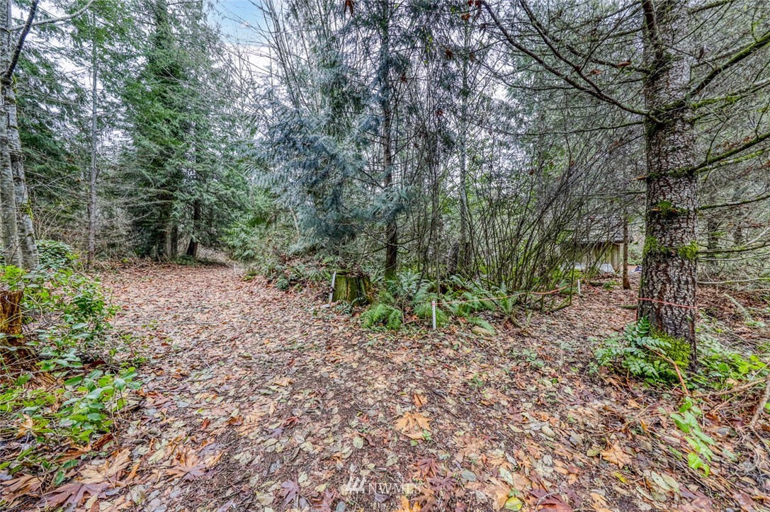 0 Stranne Road Northeast Bainbridge Island, WA 98110 - Photo 6 of 11 Gallery Image 6