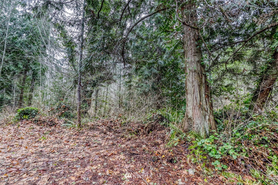 0 Stranne Road Northeast Bainbridge Island, WA 98110 - Photo 7 of 11 Gallery Image 7