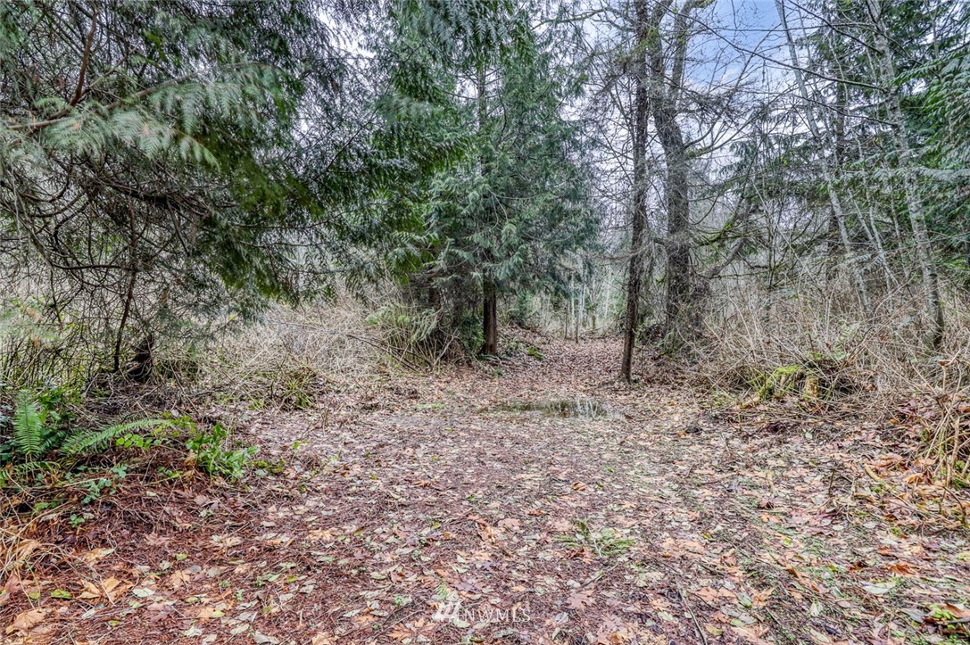 0 Stranne Road Northeast Bainbridge Island, WA 98110 - Photo 8 of 11 Gallery Image 8