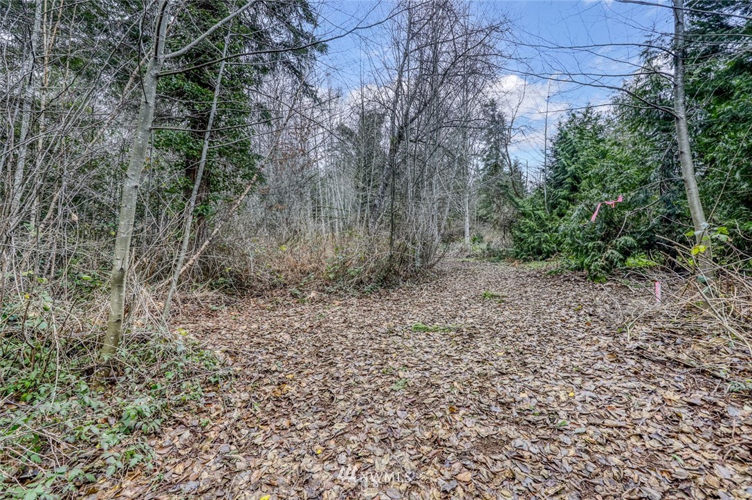 0 Stranne Road Northeast Bainbridge Island, WA 98110 - Photo 9 of 11 Gallery Image 9