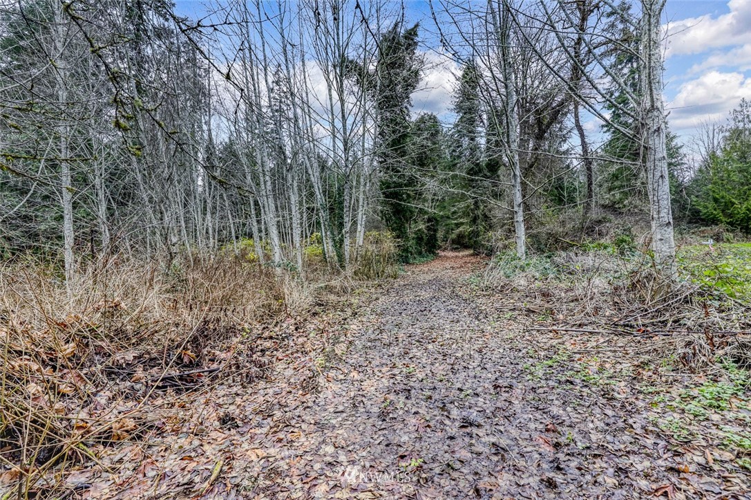 0 Stranne Road Northeast Bainbridge Island, WA 98110 - Photo 10 of 11 Gallery Image 10