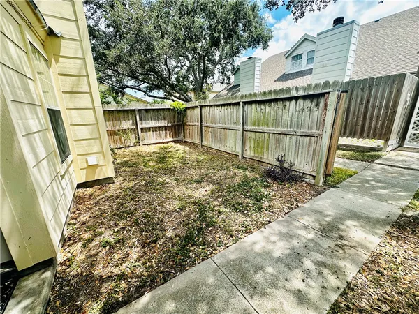 a view of a backyard
