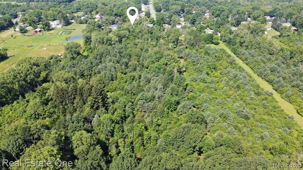 4321 Howe Road Grand Blanc, MI 48439 - Photo 34 of 40