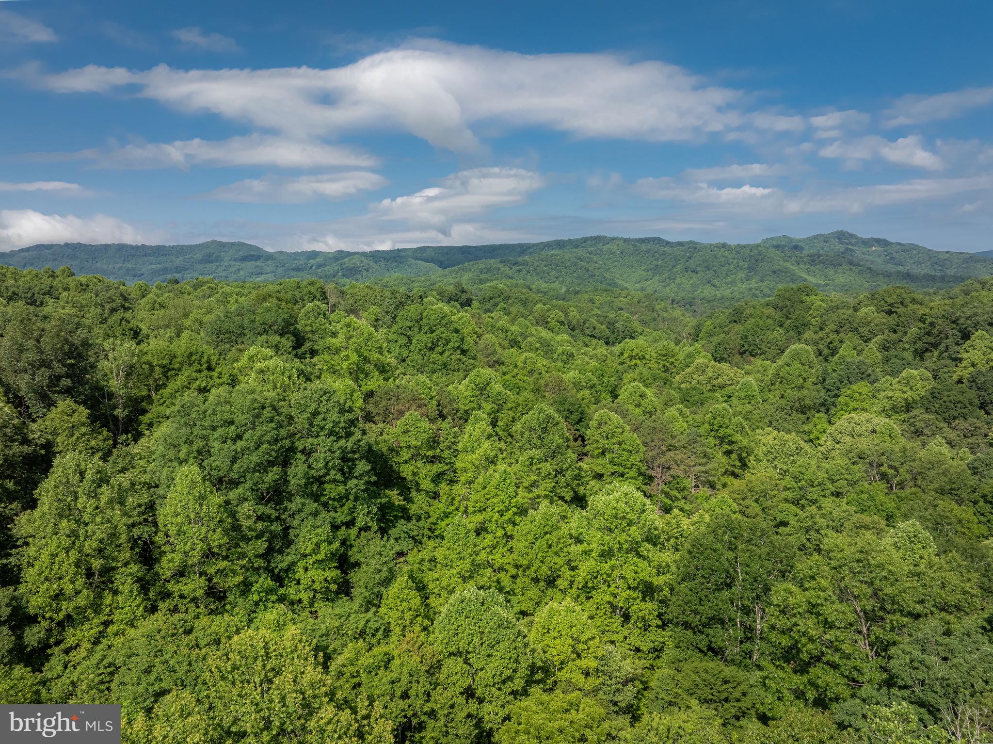 0 Coal River Road Glen Daniel, WV 25844 - Photo 14 of 21 a view of a city with lush green forest