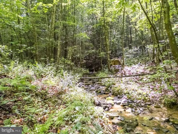 $126,840 | 0 Coal River Road, Glen Daniel, WV 25844