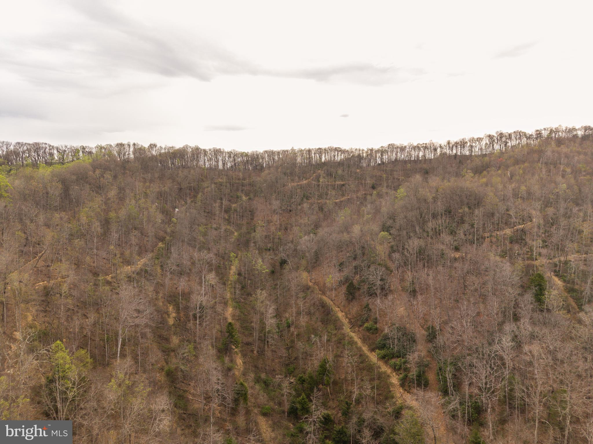 0 Coal River Road Glen Daniel, WV 25844 - Photo 2 of 21 a view of a sky