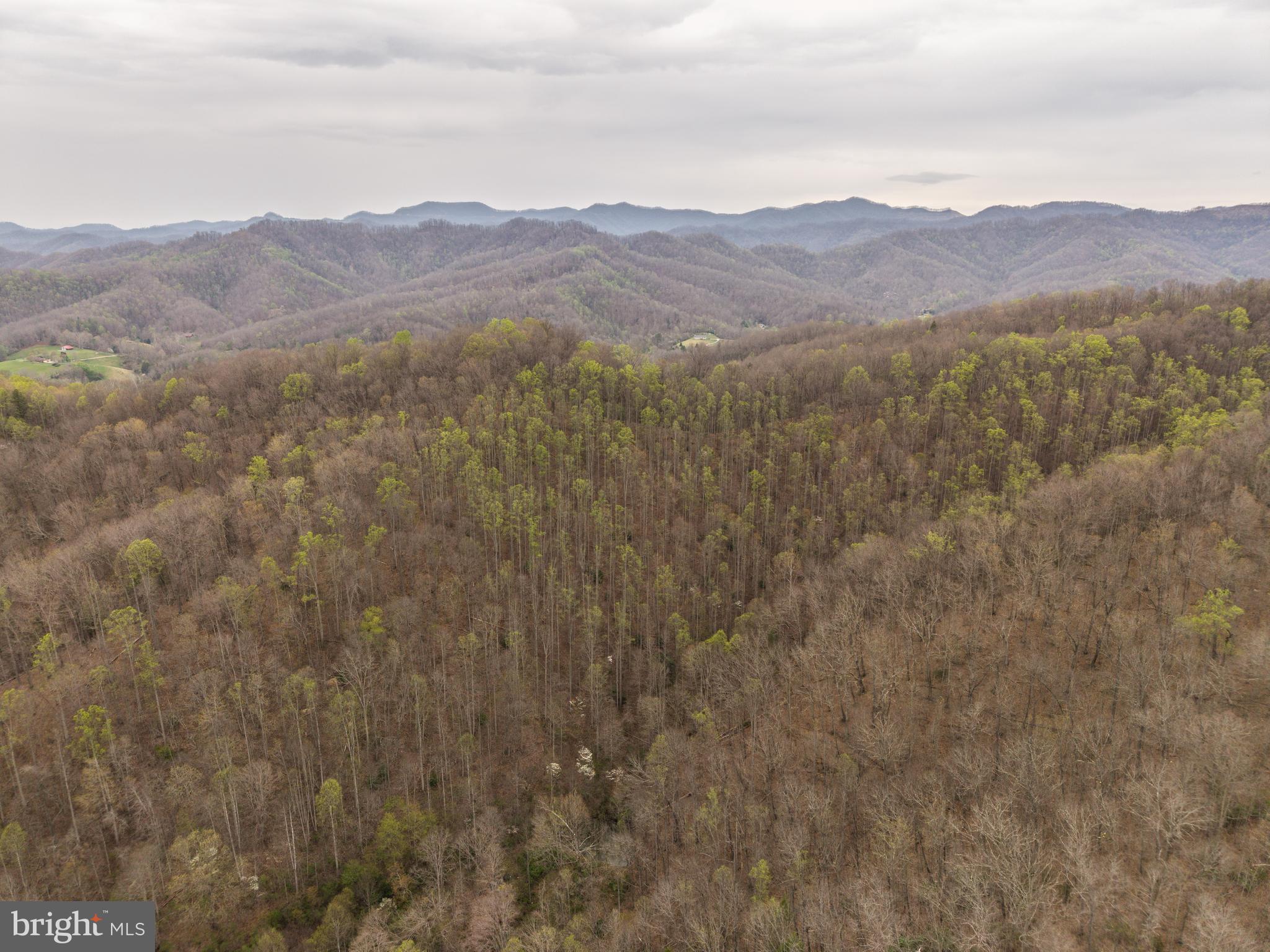 0 Coal River Road Glen Daniel, WV 25844 - Photo 3 of 21 a view of an mountain range with lush green forest