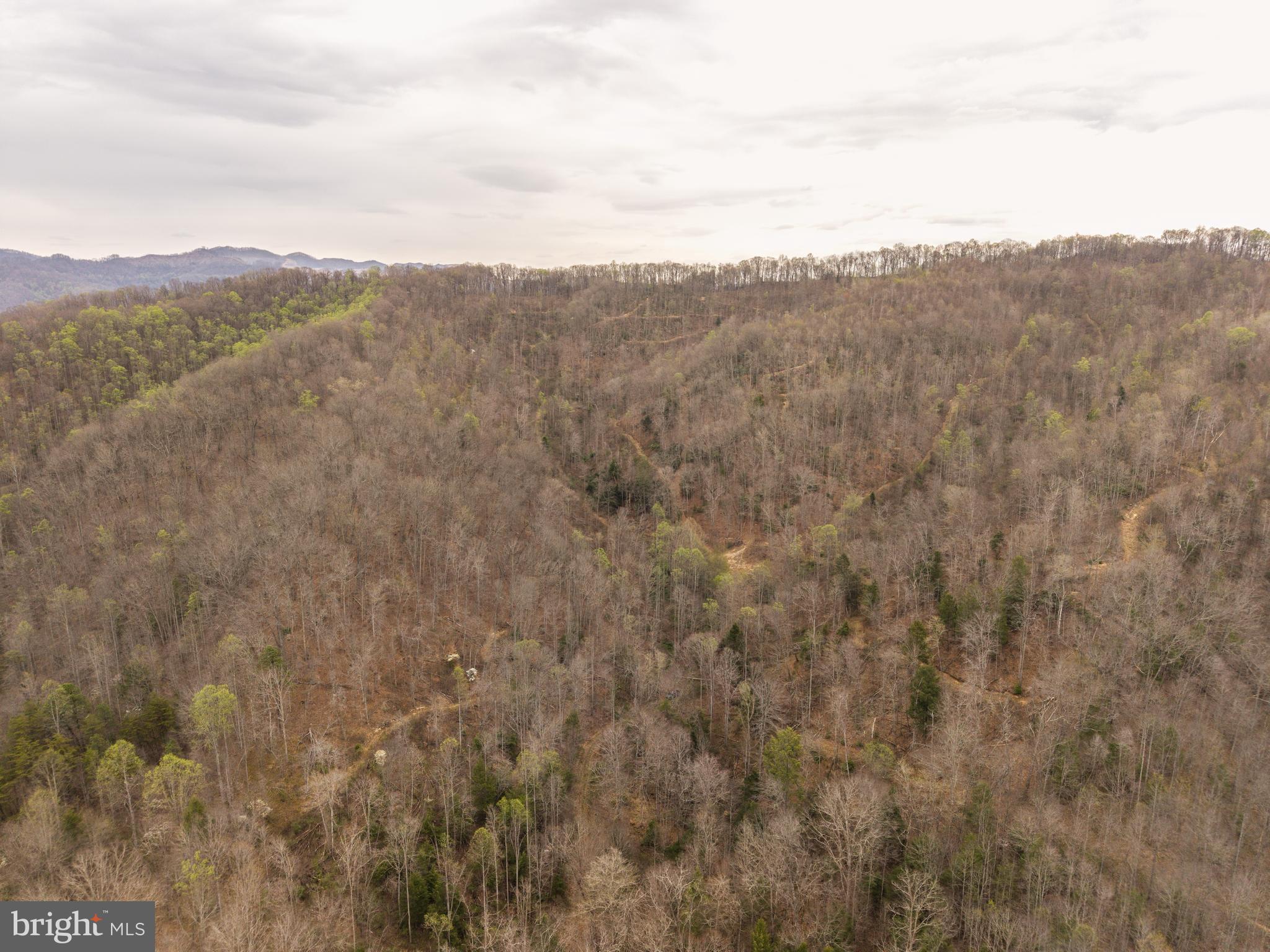 0 Coal River Road Glen Daniel, WV 25844 - Photo 6 of 21 a view of a mountain range with lush green forest