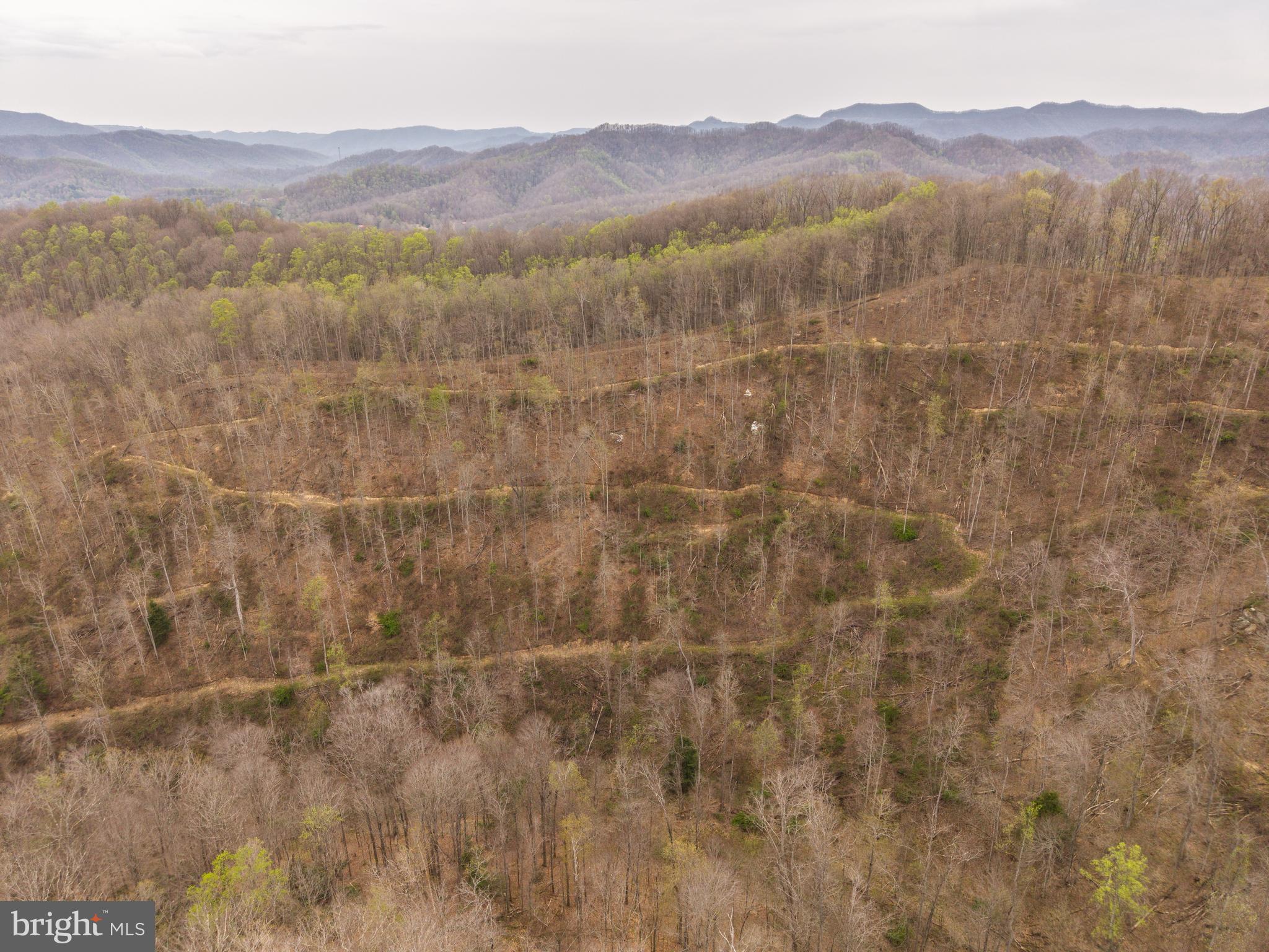0 Coal River Road Glen Daniel, WV 25844 - Photo 7 of 21 a view of a mountain