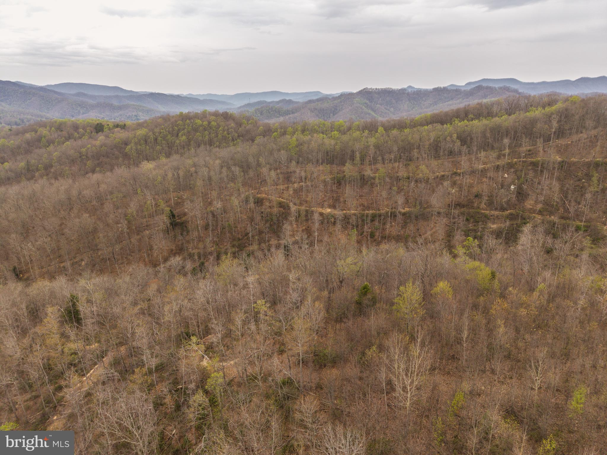 0 Coal River Road Glen Daniel, WV 25844 - Photo 8 of 21 a view of mountain with lake in background
