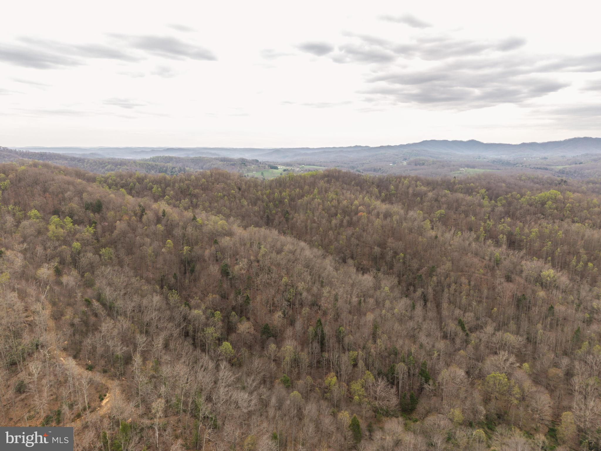 0 Coal River Road Glen Daniel, WV 25844 - Photo 9 of 21 a view of a large mountain with mountains in the background