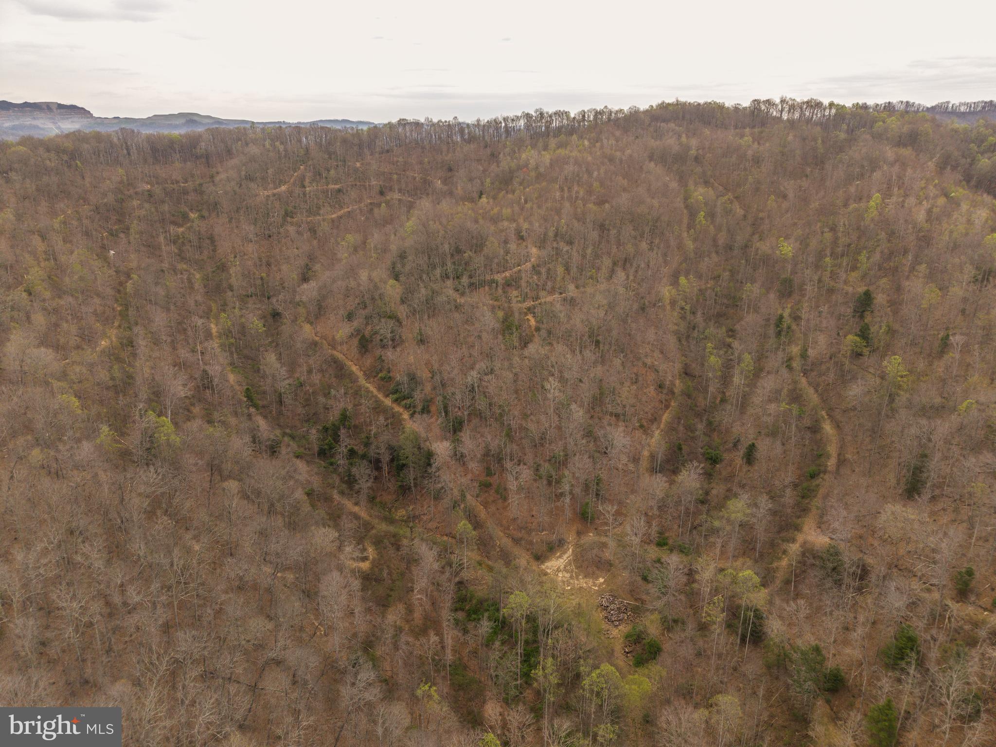0 Coal River Road Glen Daniel, WV 25844 - Photo 10 of 21 a view of a mountain in the distance in a field