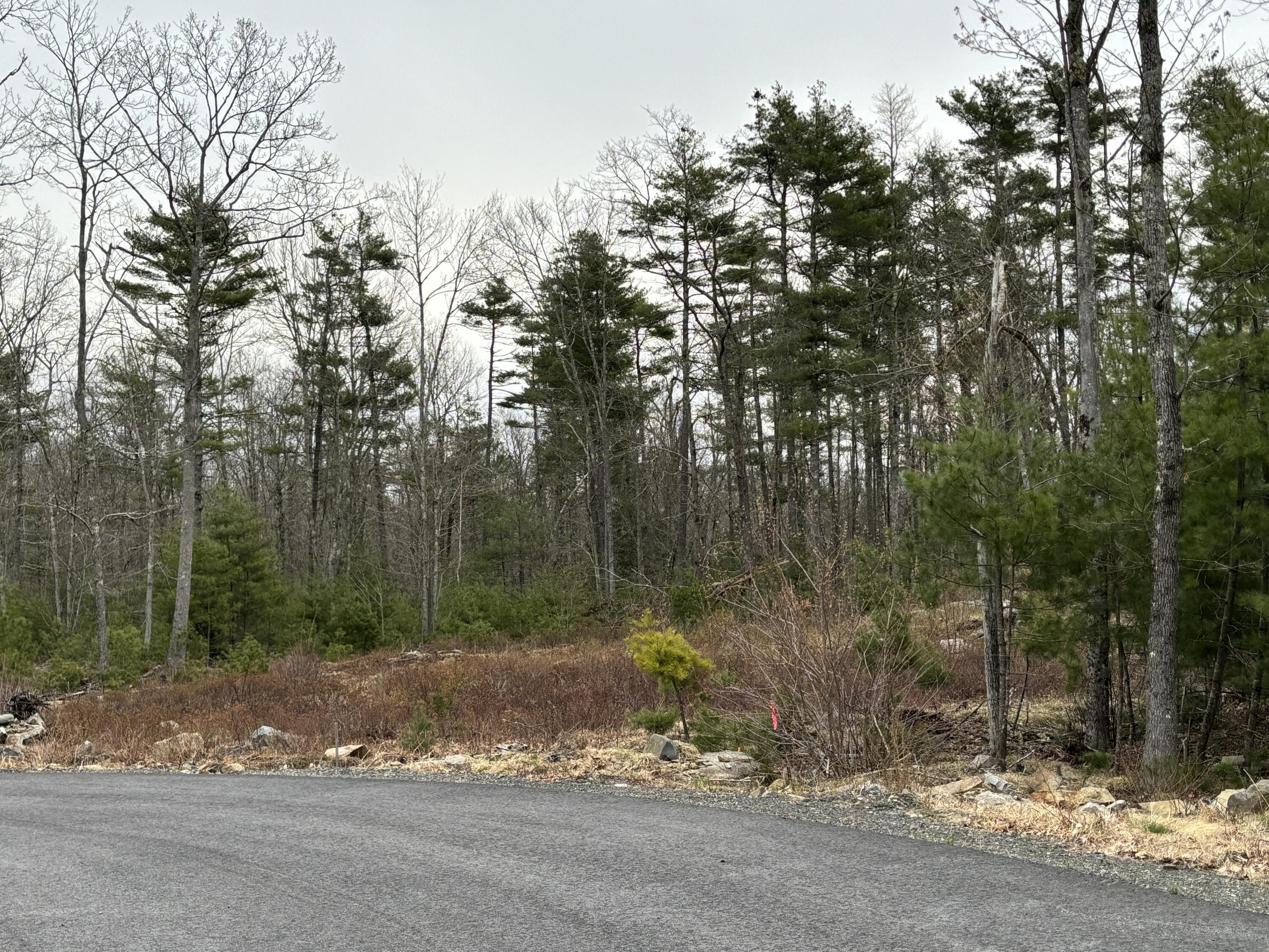 Lot 4 Webber Ridge Ln Wells Wells, ME 04090 - Photo 3 of 32 IMG_1878