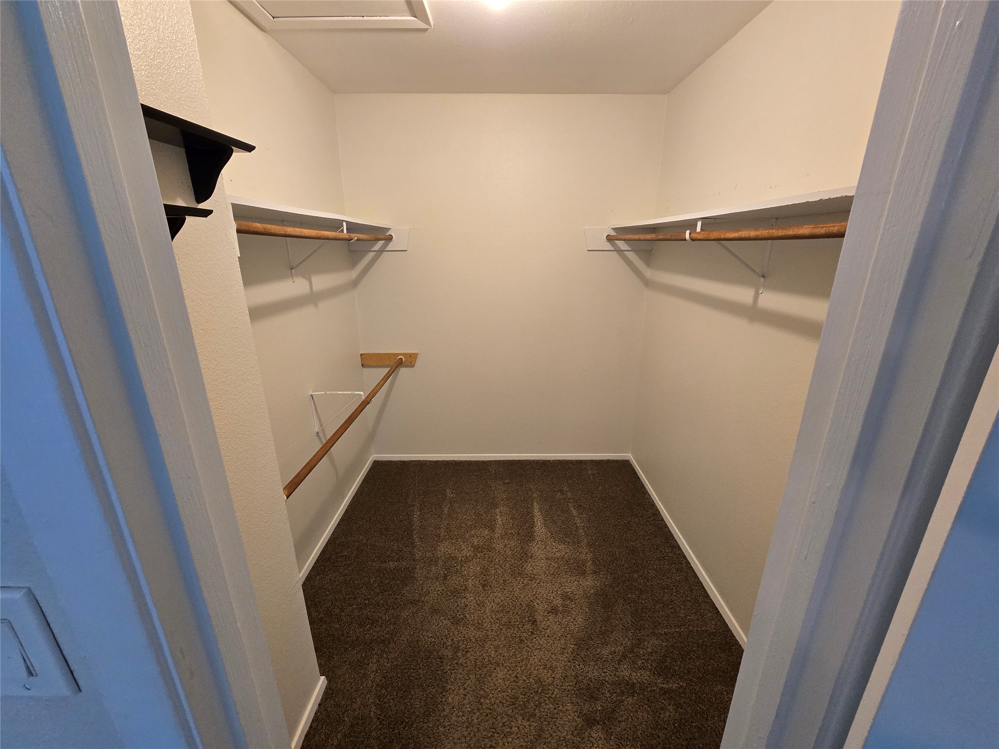 500 East Riverside Drive, Unit 229 Austin, TX 78704 - Photo 10 of 26 A spacious walk-in closet includes built-in shelving, hanging rods, and carpet flooring.