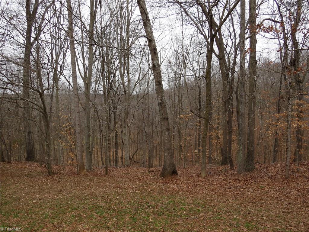 942 Butter Road Wentworth, NC 27320 - Photo 22 of 22 Gorgeous view of the acreage including lots of hard woods.