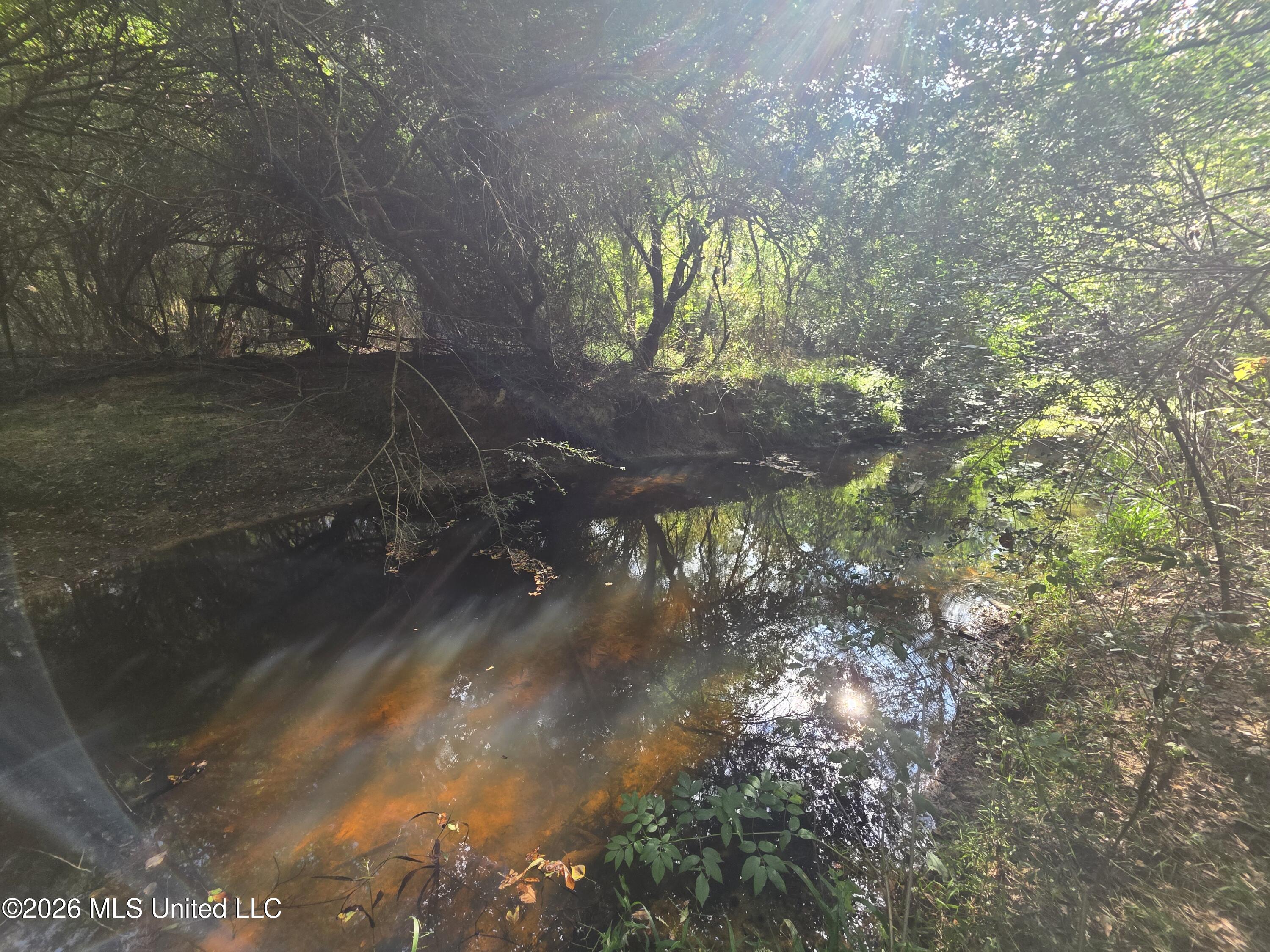 Busby Trail Brookhaven, MS 39601 - Photo 22 of 24 42736