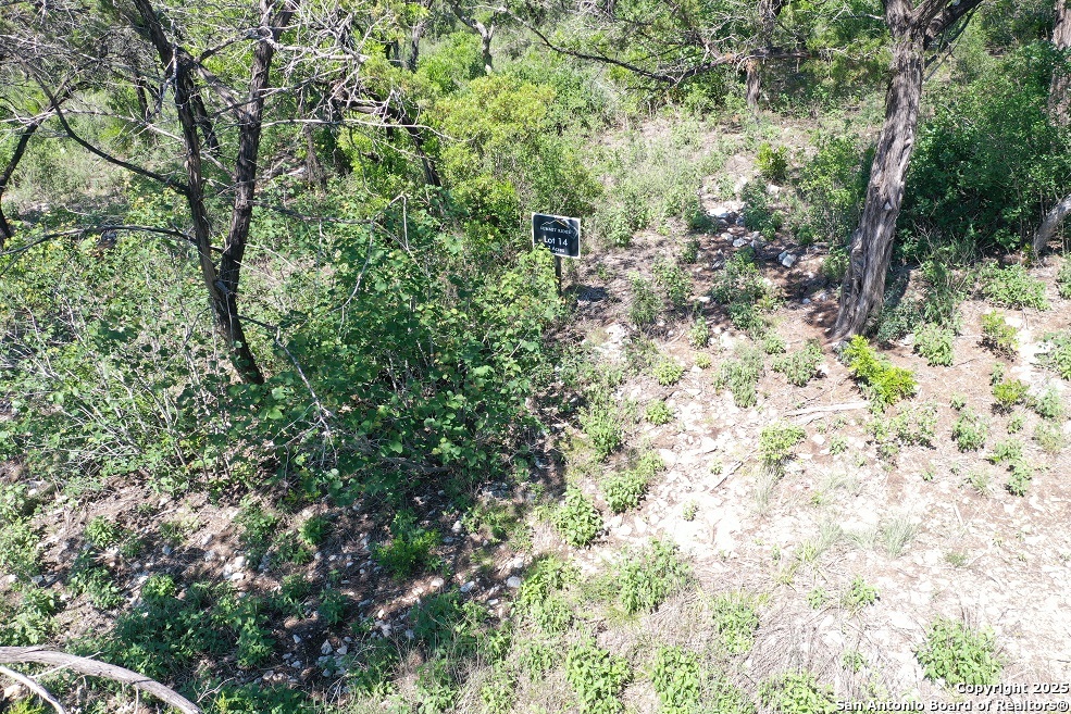 0 Pr 2775 Mico, TX 78056 - Photo 12 of 28 a view of a yard with a tree