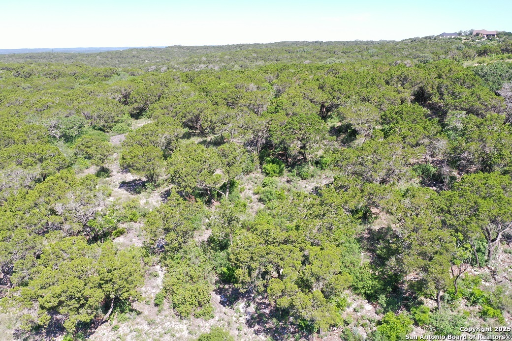 0 Pr 2775 Mico, TX 78056 - Photo 14 of 28 a view of a forest with an trees