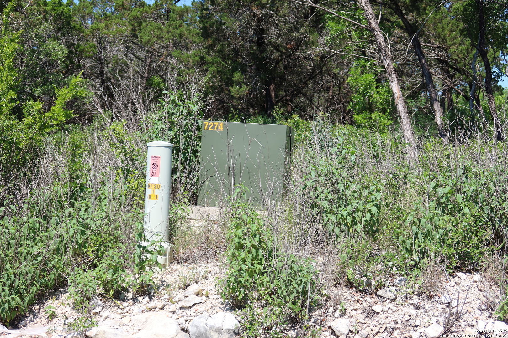0 Pr 2775 Mico, TX 78056 - Photo 21 of 28 a close up of a tree in a garden