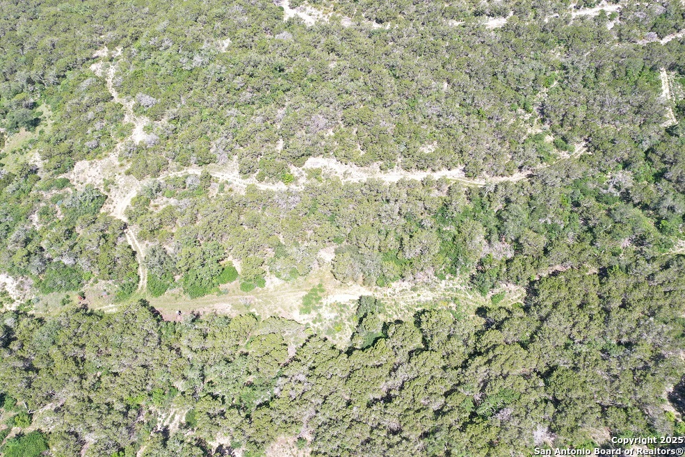 0 Pr 2775 Mico, TX 78056 - Photo 4 of 28 a view of a yard