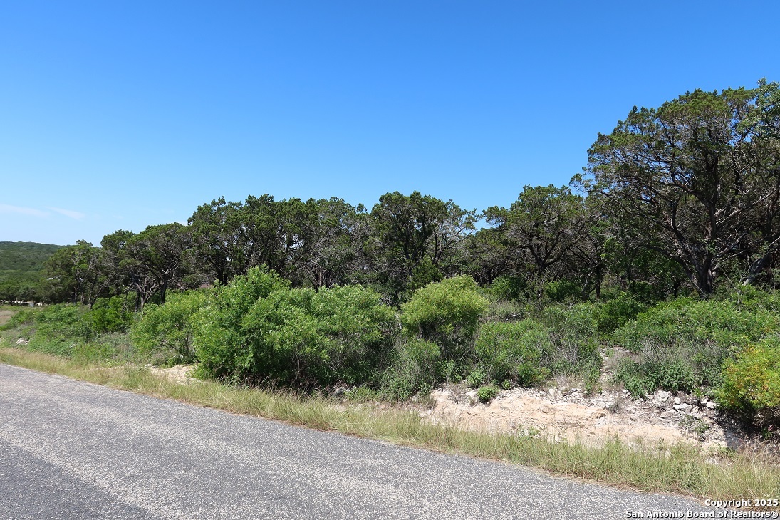 0 Pr 2775 Mico, TX 78056 - Photo 7 of 28 a view of a road with a plant in it