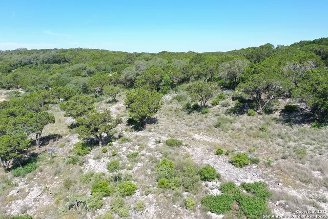a view of a forest with a lush green forest