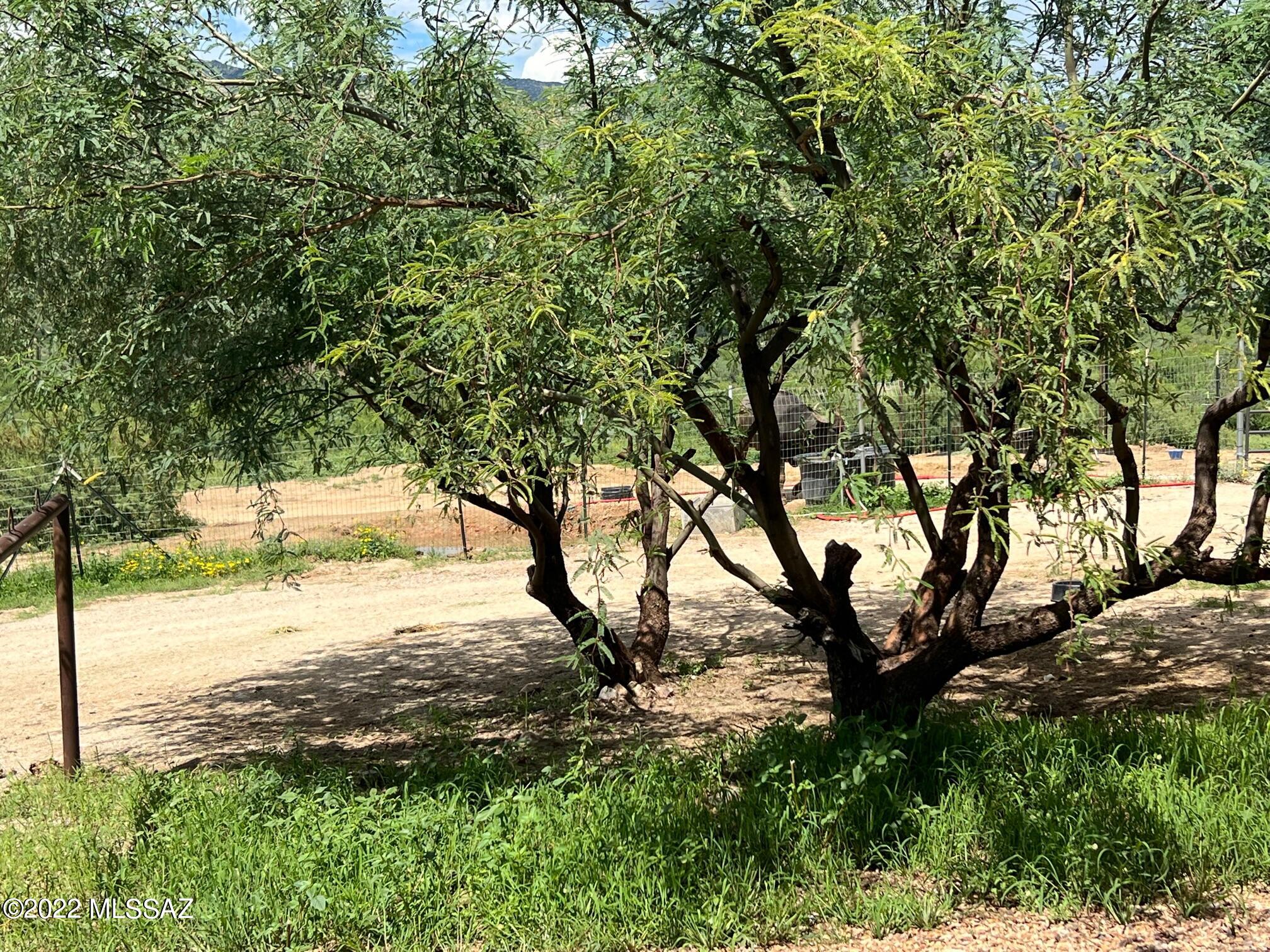 7460 Rolling Tumbleweed Road Vail, AZ 85641 - Photo 5 of 44