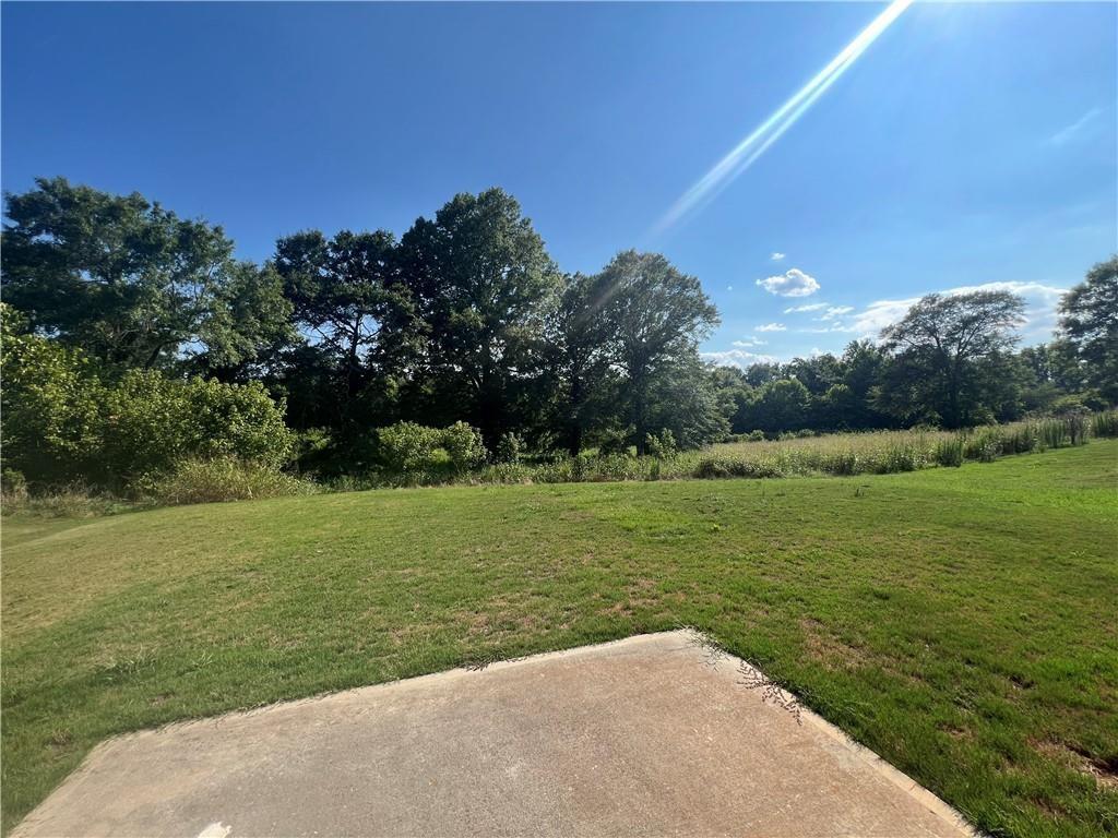 707 River Mist Circle Jefferson, GA 30549 - Photo 19 of 19