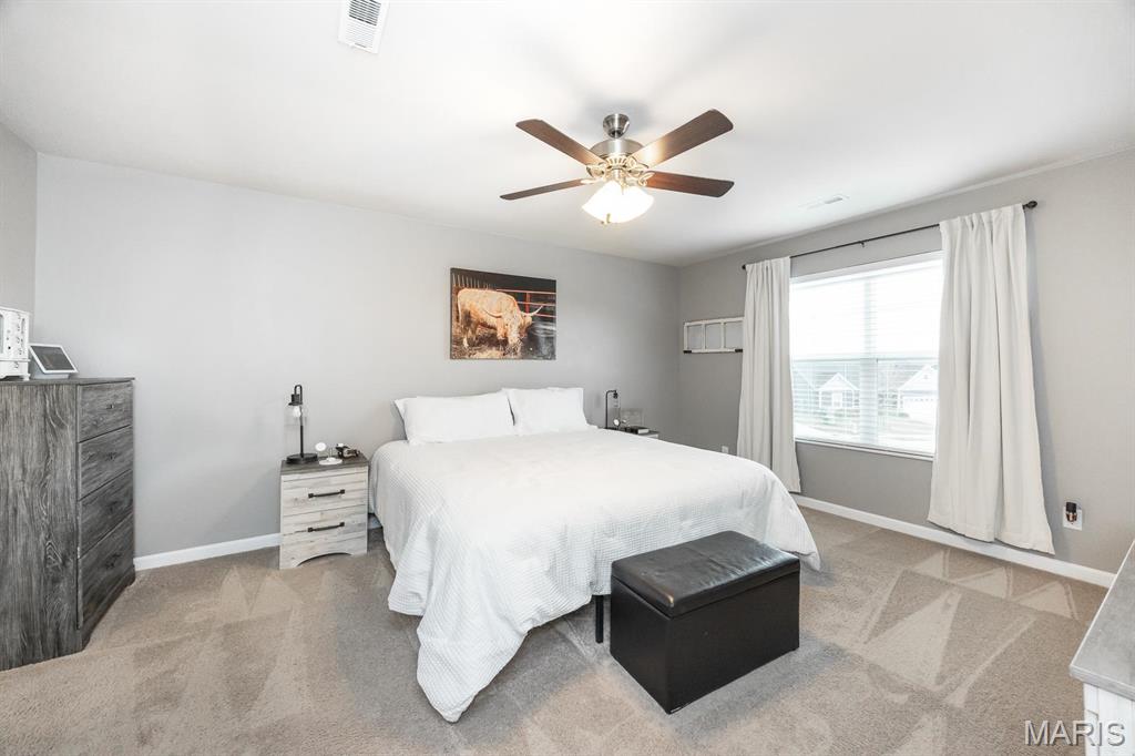 860 Bluff Ridge Lane Shiloh, IL 62221 - Photo 16 of 33 Gallery Image 16