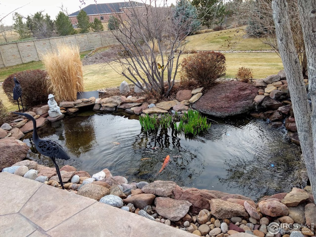 Coi Pond