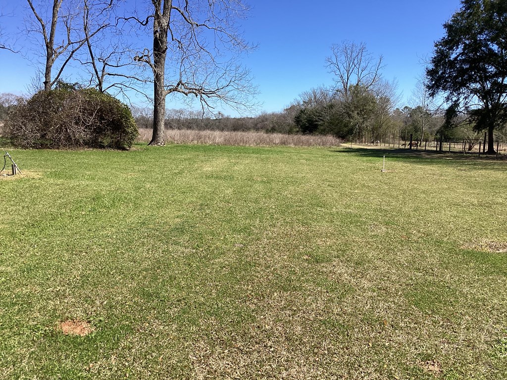 0 Benton Store Road Columbia, AL 36319 - Photo 11 of 24